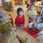 phoca_thumb_m_pernky 20 Fotogalerie